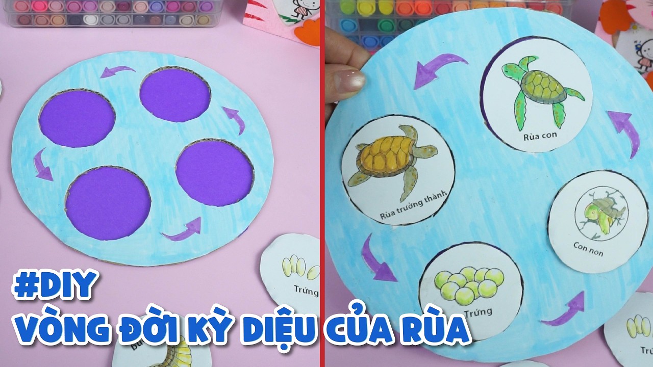 Динозавр Додо | Сделайте простую модель жизненного цикла животного. 🐢🦋🐟