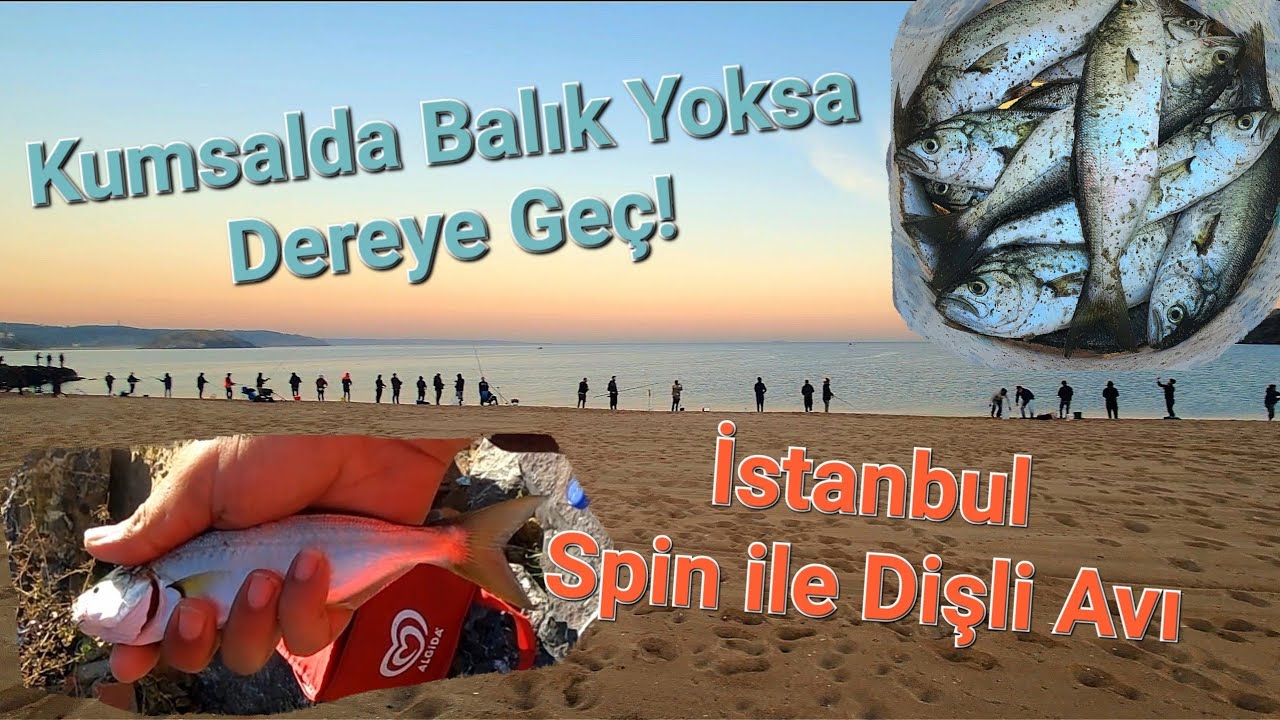 DEREDE ÇİNEKOP AVI | İSTANBUL - Spin ile Balık Avı - Çinekop | Sarıkanat | Lüfer Denemeleri