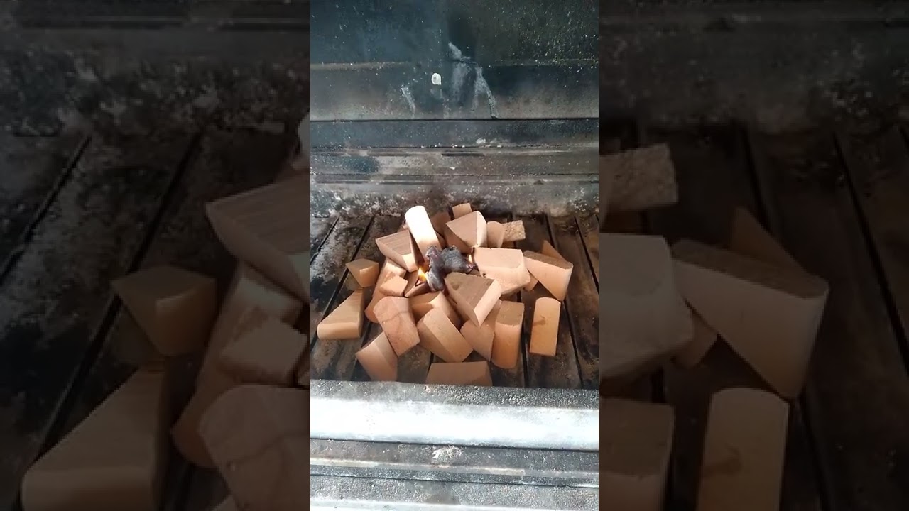 ekzotermik tepkime