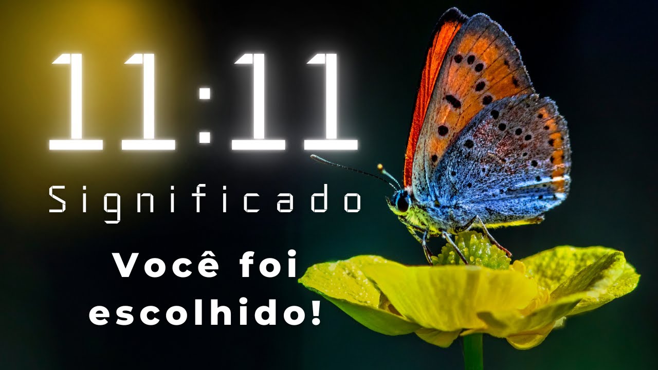 🦋11:11 Horas Iguais SIGNIFICADO ESPIRITUAL | SINCRONICIDADE 🕙