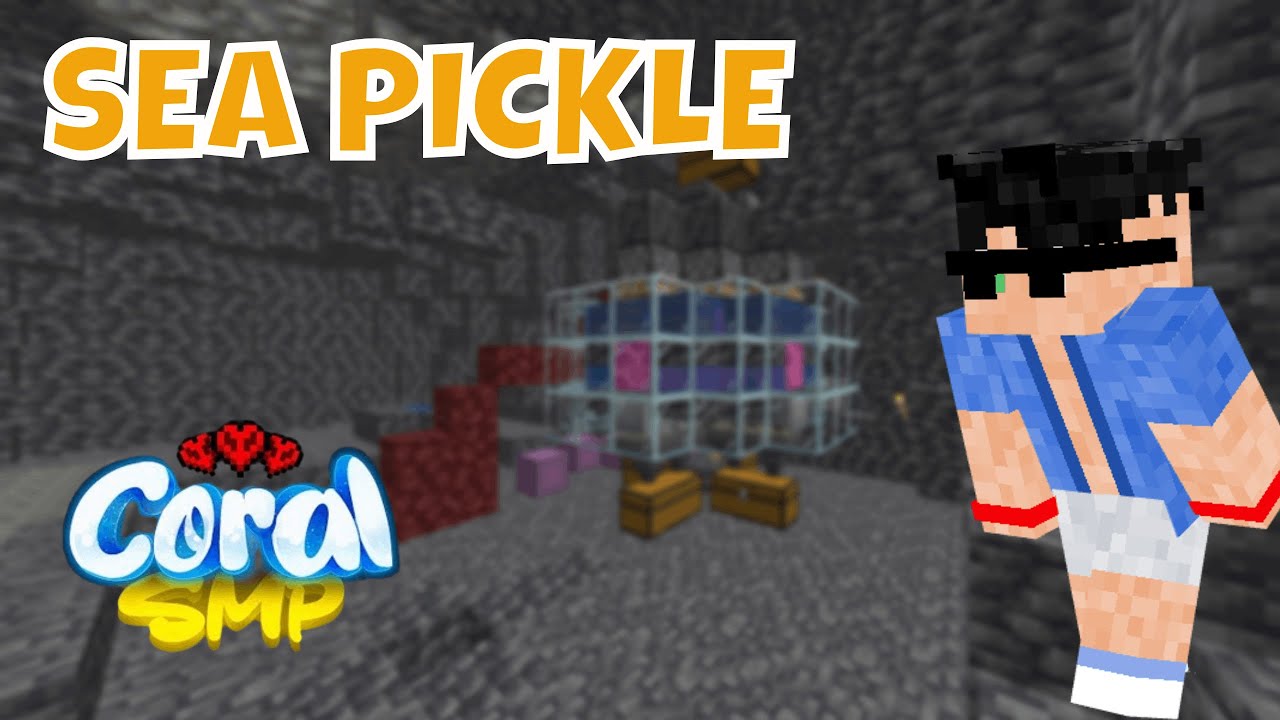 HO COSTRUITO LA MIGLIORE FARM DEL SERVER! - CoralSMP