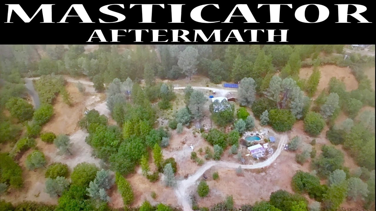 Masticator Aftermath