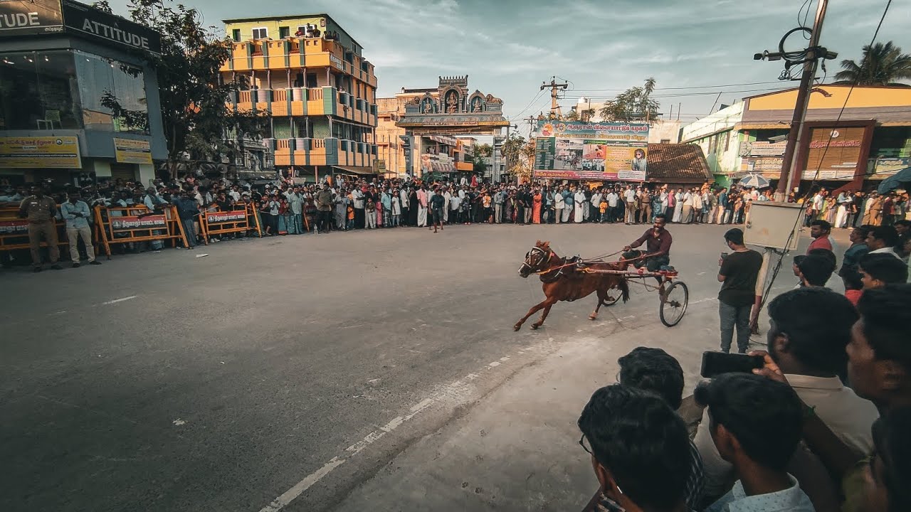 Horse race Thiruvarur