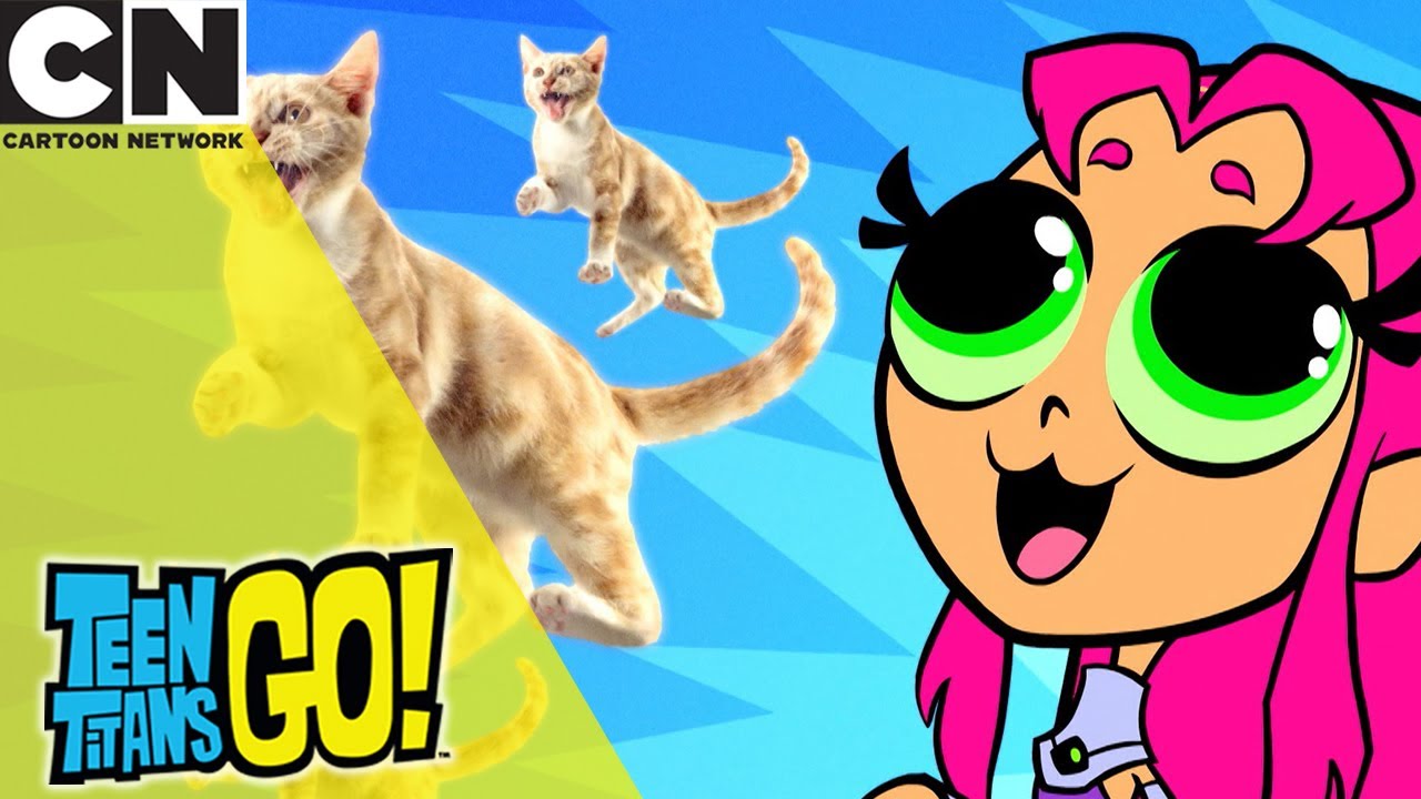 Teen Titans Go! | En massa djur | 🇸🇪 Svenska Cartoon Network