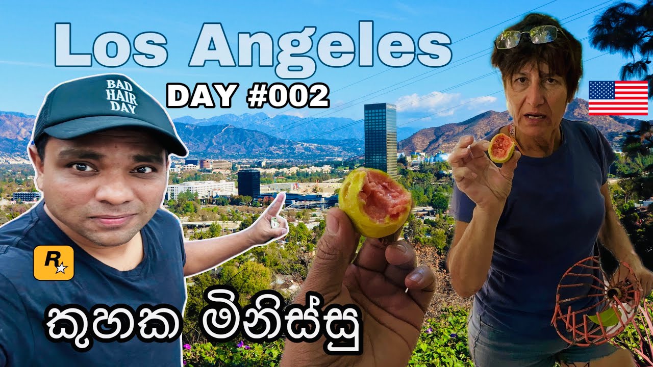 🇺🇸USA  Harvest A Neighborly Treat ඇමරිකාවෙ අසල්වැසි යො නපුරු යි 🥹​⁠​⁠📌🇺🇸#002