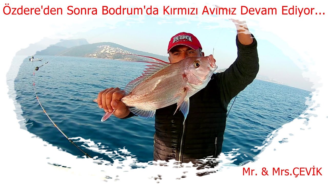 Bodrum'da Antenli Mercan Avı