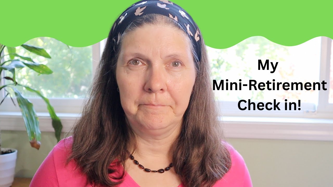 Mini-Retirement Check In: How I am doing financially and what I am doing: What I Want! And Saving $$