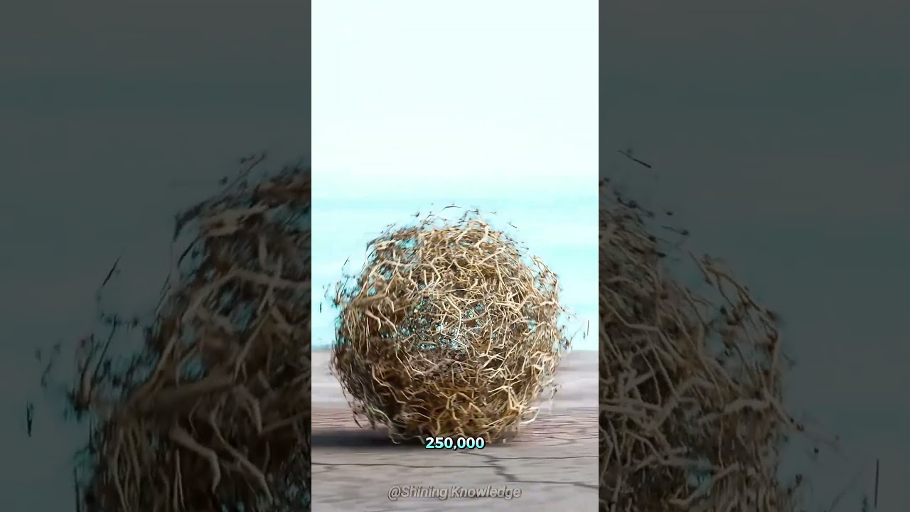 Как вредный сорняк превращается в пищу и топливо 😳
