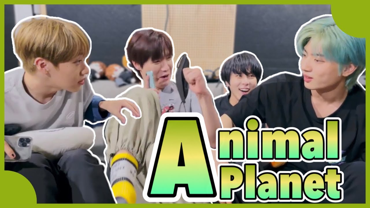 [ONEWE/ENG] Animal/Bug Talks: dogs in RBW, Minji and OneG's update, scary animals, etc.