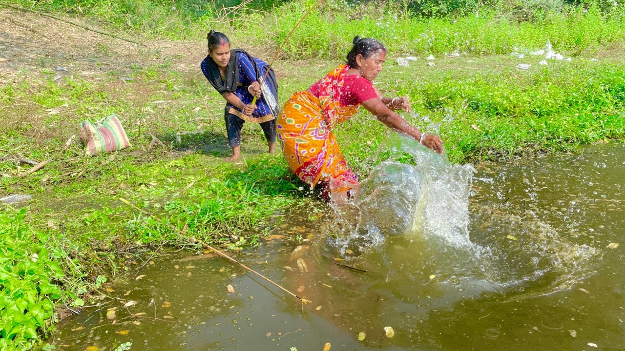 Amazing Fishing video🐬🐬 || traditional ladys catching hook fishing in village Lotus pond #fishing