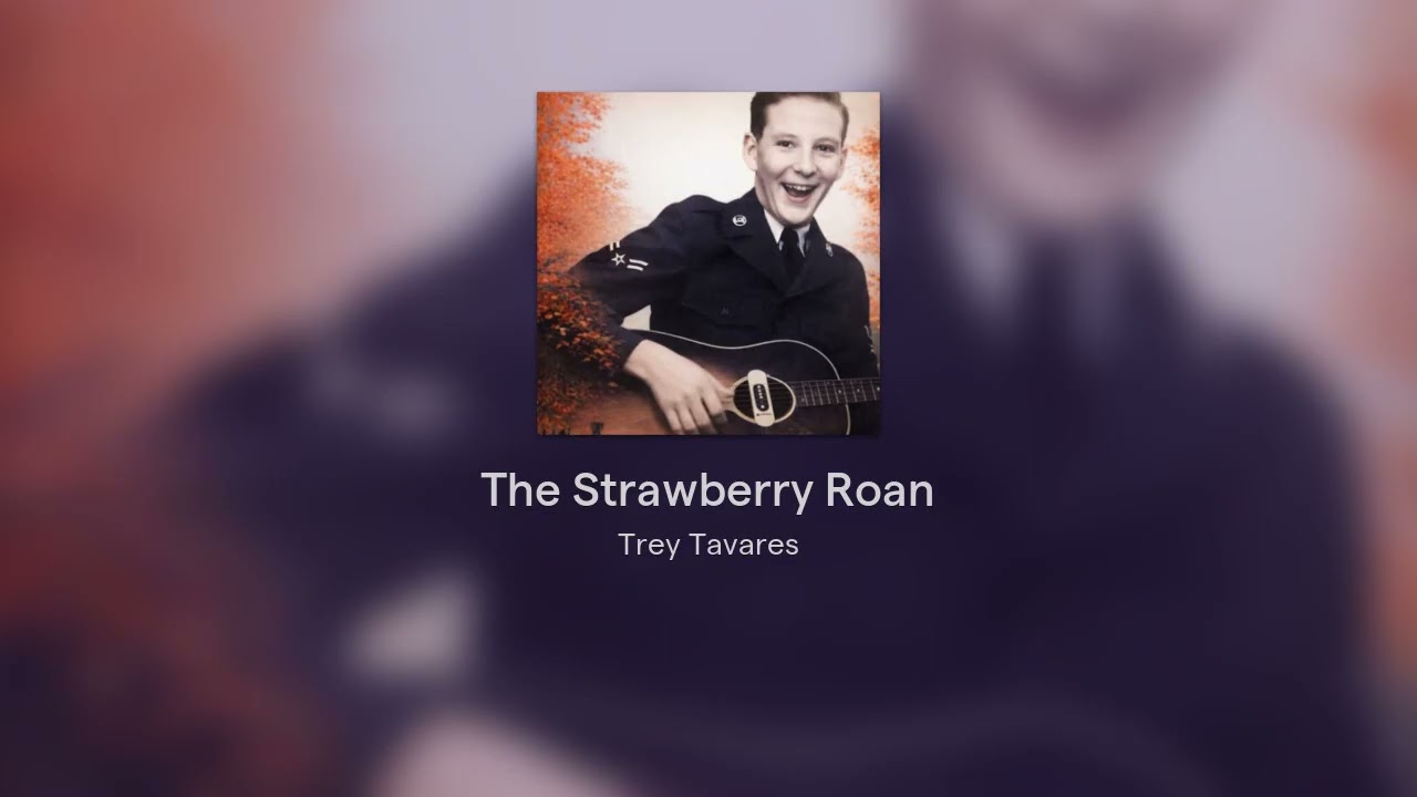 The Strawberry Roan