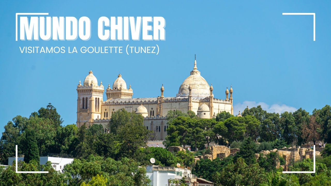 MUNDO CHIVER 44 La Goulette Tunez