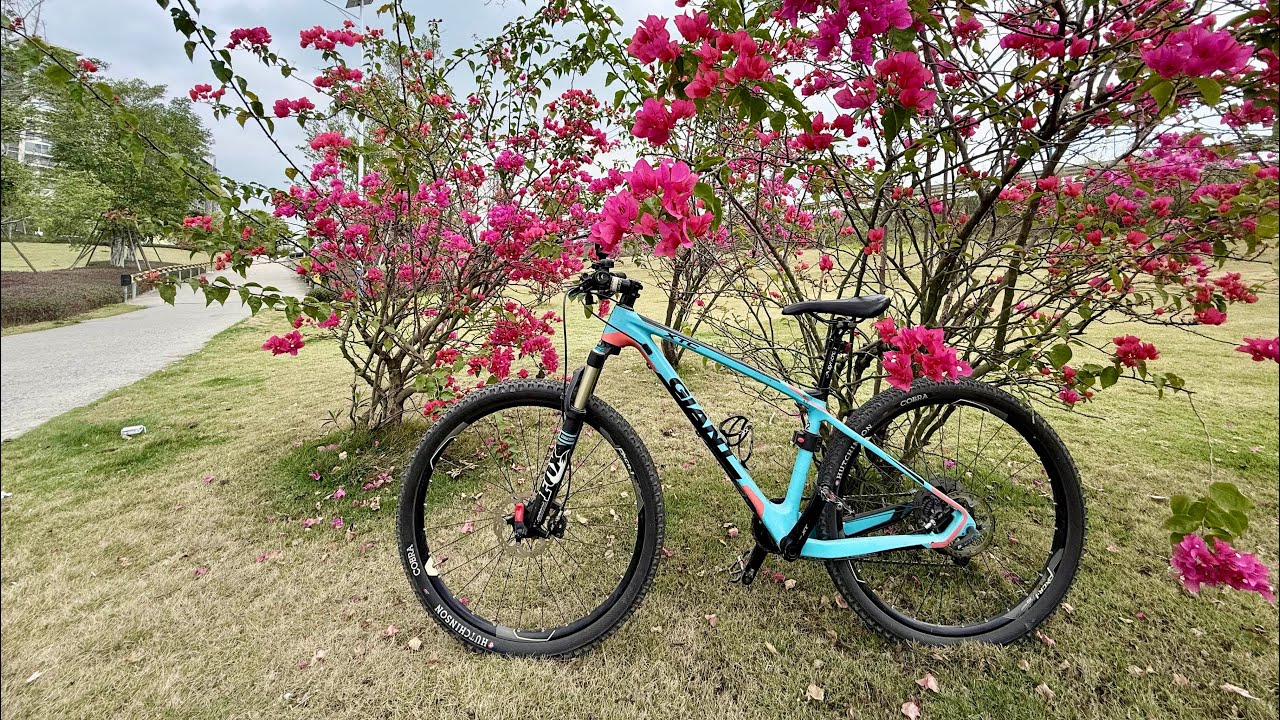 【單車騎士】陽光一出場，人哪還坐得住？索性騎上車往郊外一衝——今天不趕路，只趕春天。一路晃晃悠悠的，心情跟著野了起來⋯