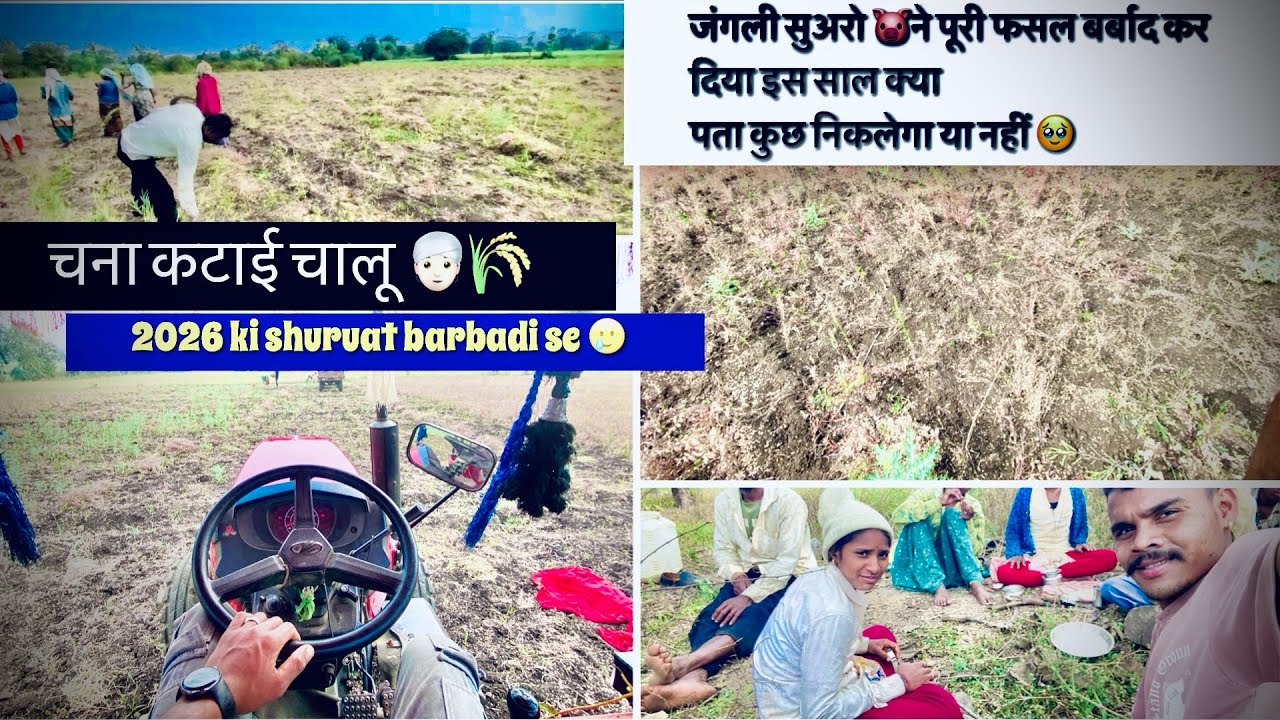 Chana Katai 2026 sri ganesh ho gaya chane ka 👳🏻🌾village life farming vlogs