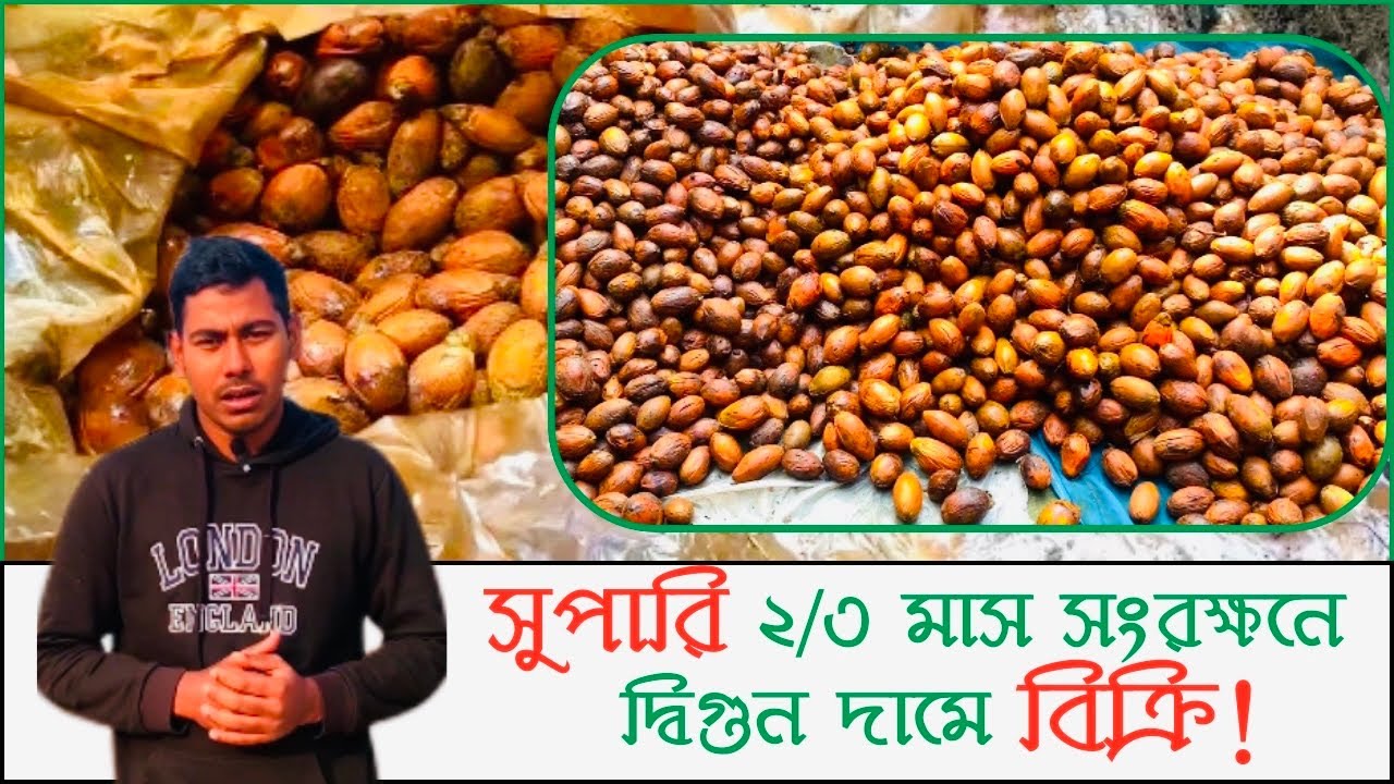সুপারি সংরক্ষণ কেন জরুরী! | তিন মাসে দ্বিগুণ দামে বিক্রি | খোলান কৃষি