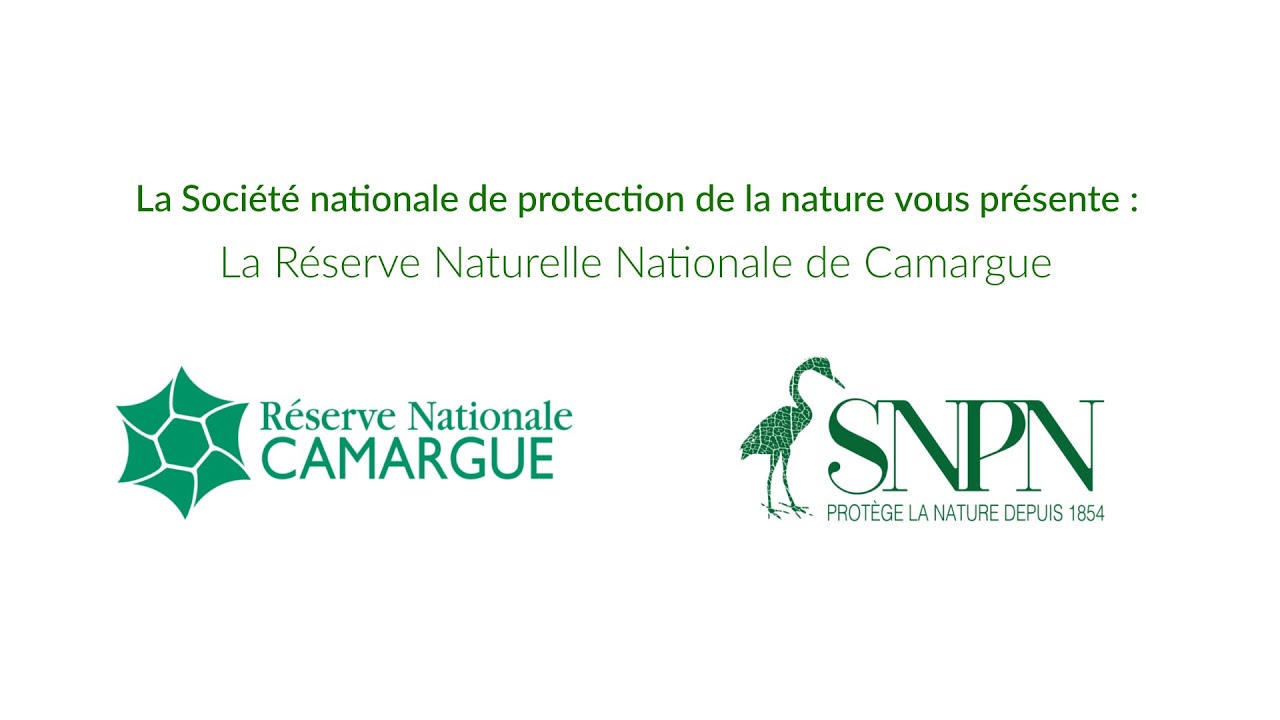 D&eacute;couvrez la R&eacute;serve naturelle nationale de Camargue