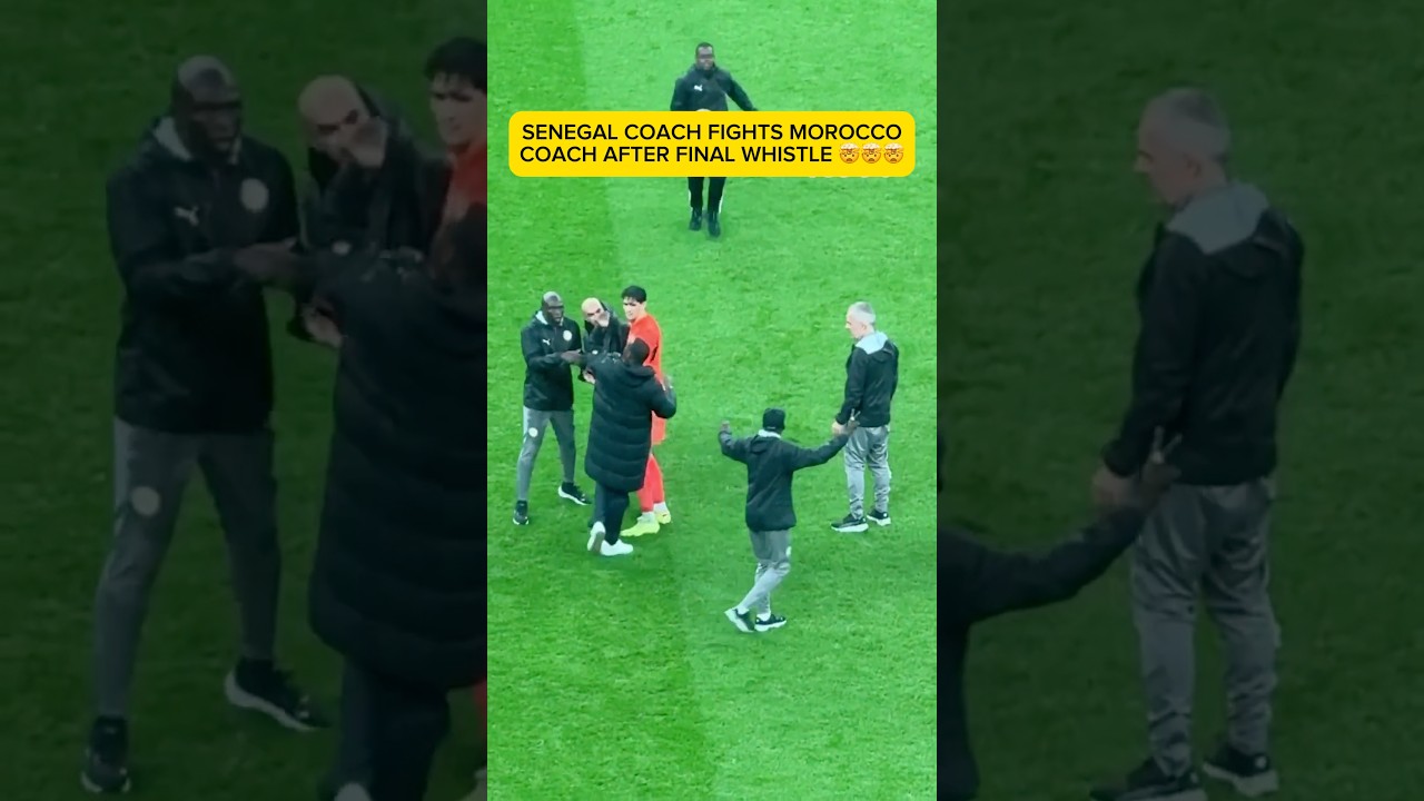 Morocco coach fights Senegal coach after final whistle #afcon2025 #morocco #senegal #brahimdiaz