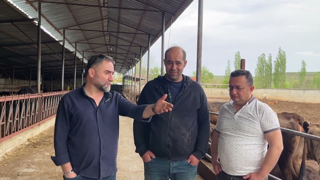 HAYVANCILIK BUDUR DEDİ