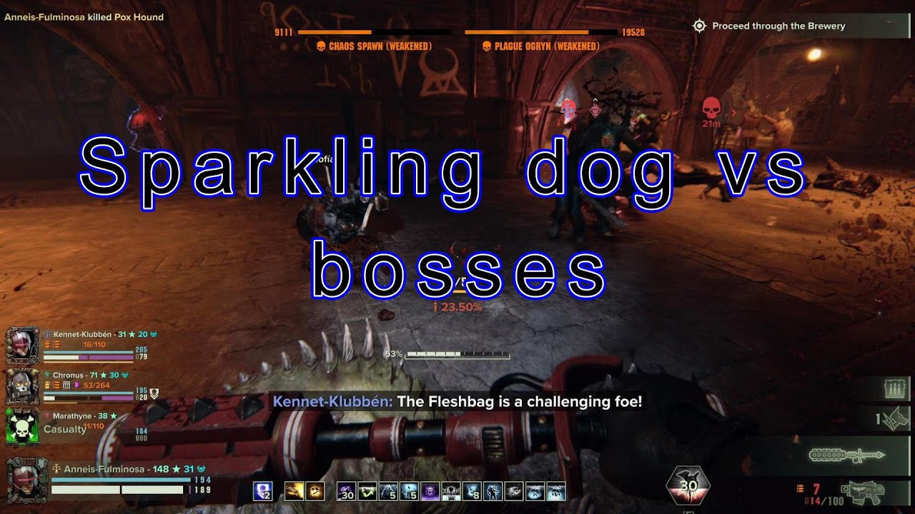 Darktide, Auric Maelstrom, Cyber puppy on a walk