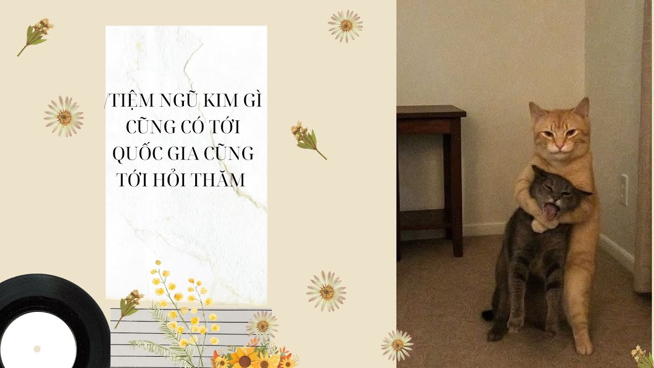 Truyện Audio/ TIỆM NGŨ KIM GÌ CŨNG CÓ TỚI QUỐC GIA CŨNG TỚI HỎI THĂM