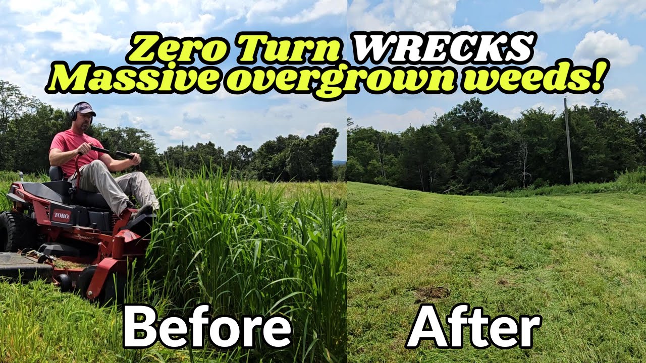 4 FOOT high weeds vs TORO TITAN 60