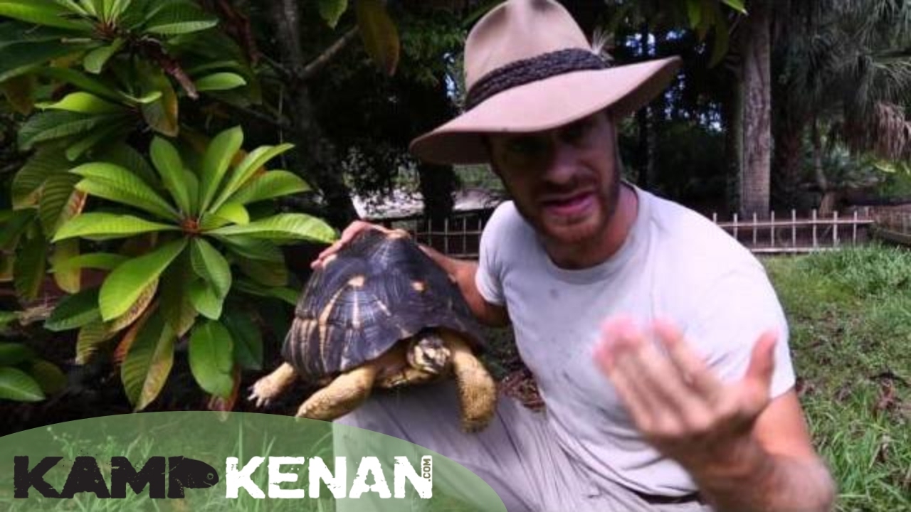 Is the Radiated the World's Most Beautiful Tortoise? Kamp Kenan S3 Episode 3