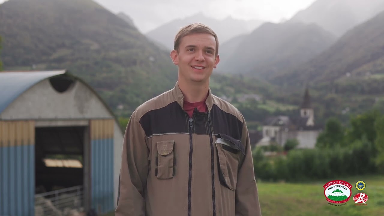 Romain - éleveur de brebis