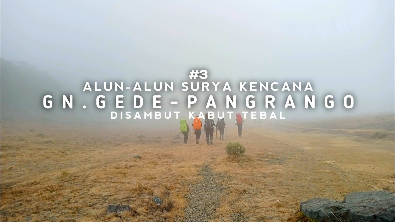 PENDAKIAN GUNUNG GEDE PANGRANGO VIA PUTRI | DISAMBUT KABUT TEBAL | GUNUNG GEDE PANGRANGO #3