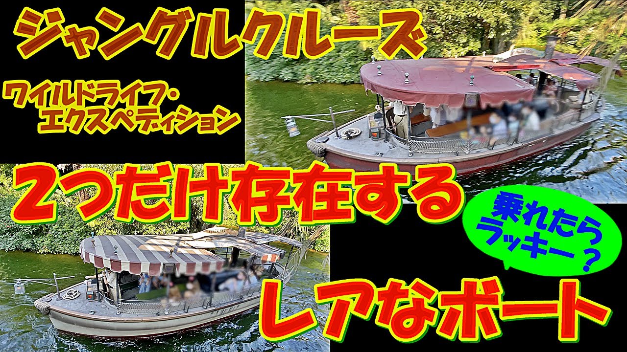 【ジャングルクルーズ】意外と知らない？２つだけ存在する、レアなボート〈乗れたらラッキー？〉
