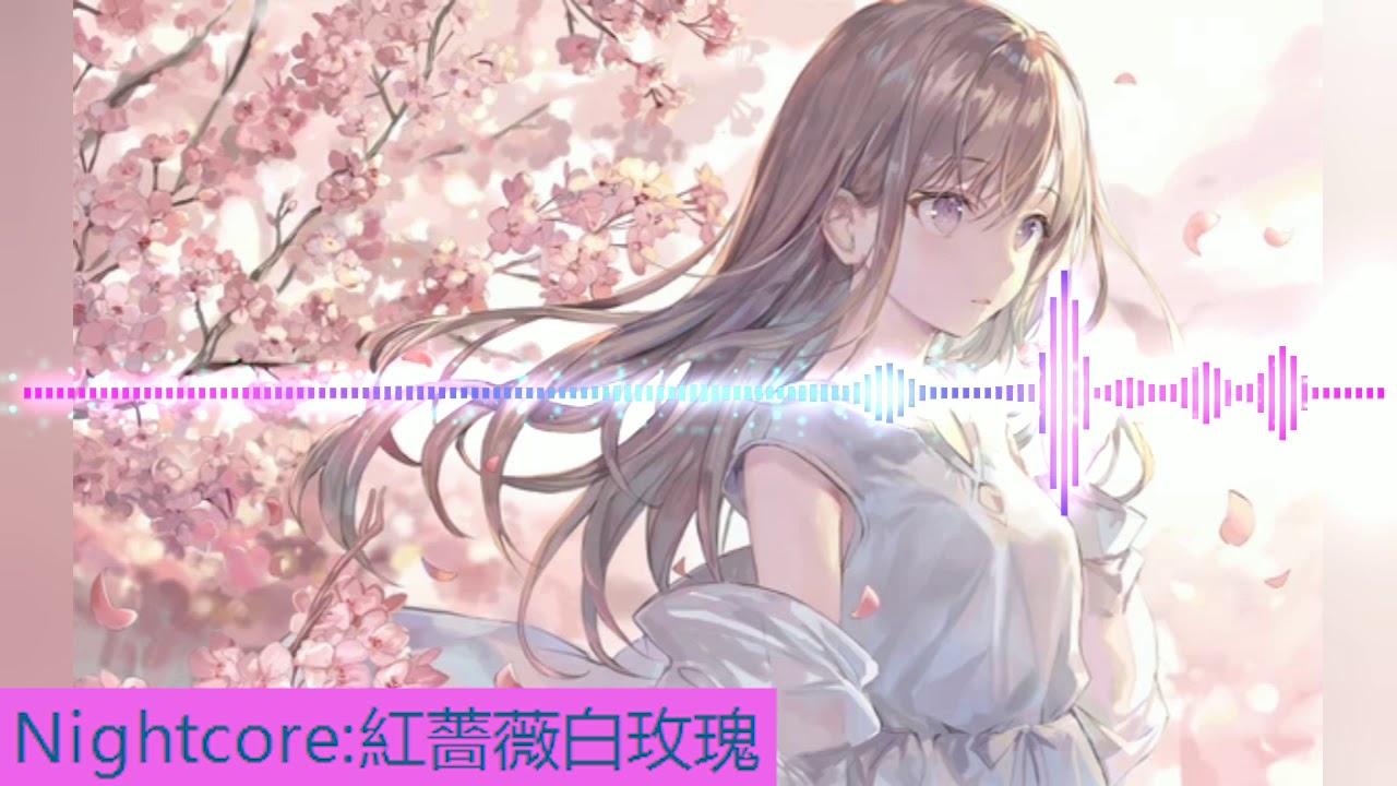[Nightcore]紅薔薇白玫瑰(G.E.M.)