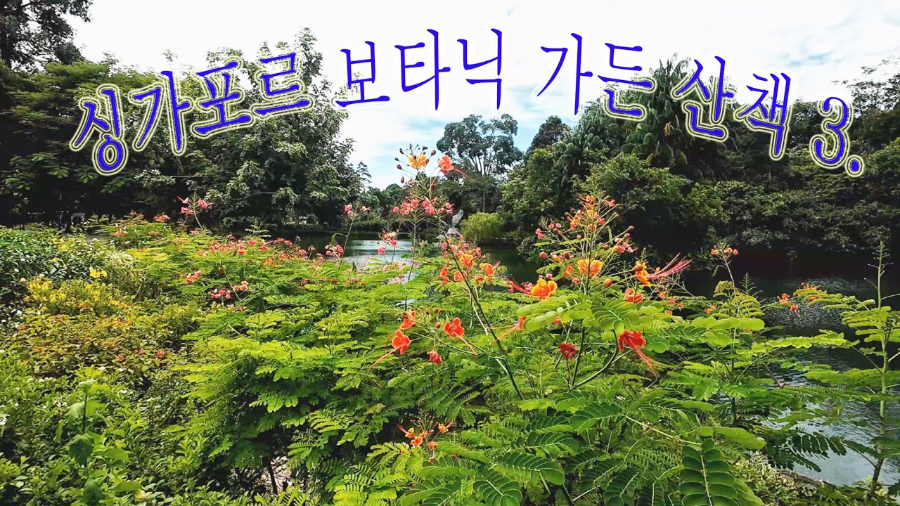 싱가포르 보타닉 가든 산책 3.