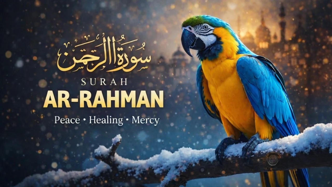 Surah Ar-Rahman | Peace & Mercy | Beautiful Quran Recitation With Translation | The Quran Light