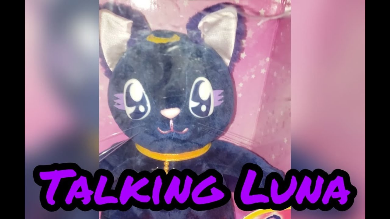 Sailor Moon PGSM Talking Luna Plush Review (Luna Parlante)