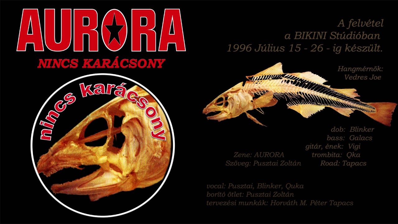 Aurora: Nincs karácsony  - 1996 – Nincs karácsony