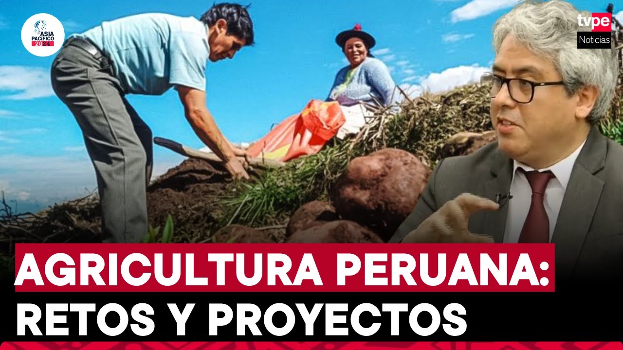 APEC y el plan contra pérdidas y desperdicios de alimentos | 