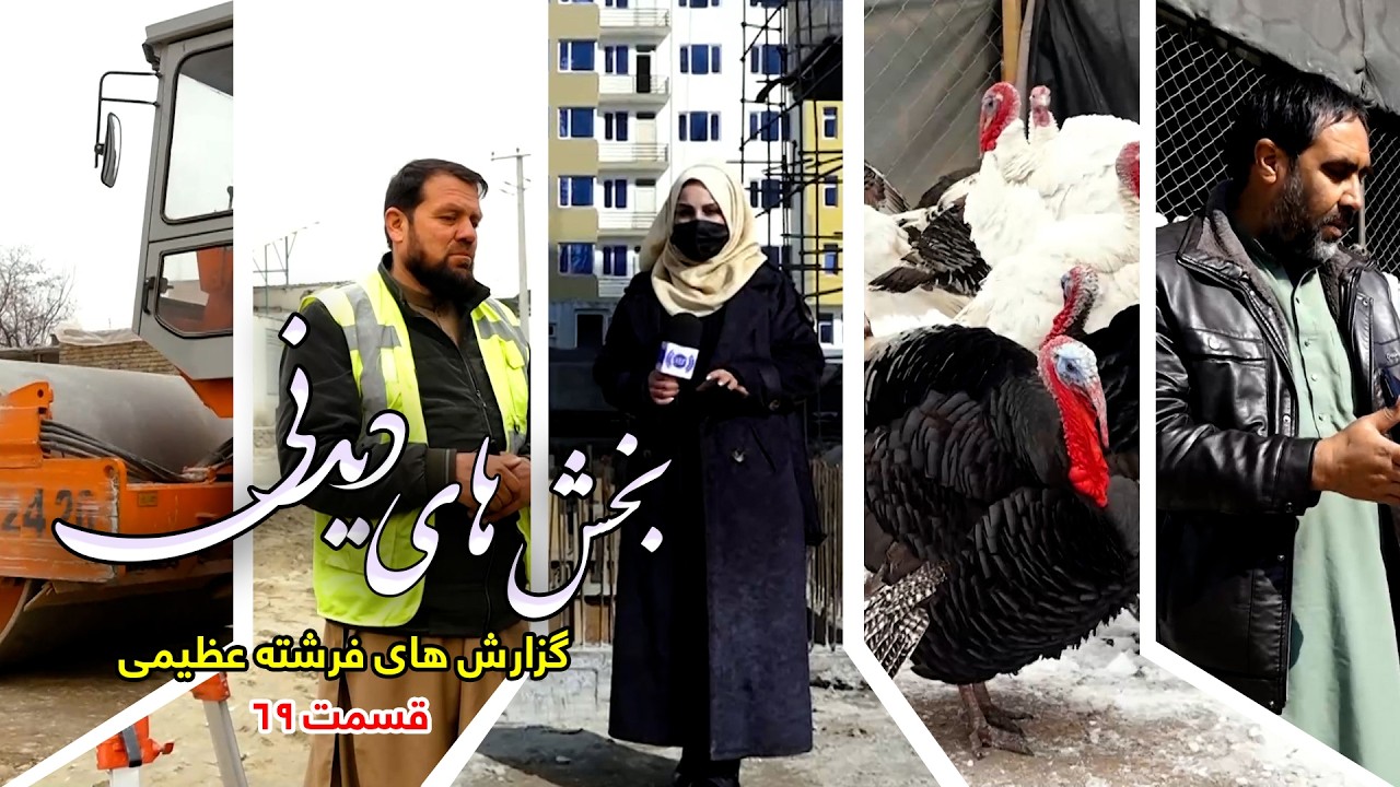 Interesting Parts of Freshta Azimi's Reports - Episode 69