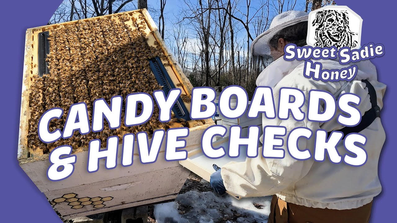 Winter Hive Check & Candy Board Installation
