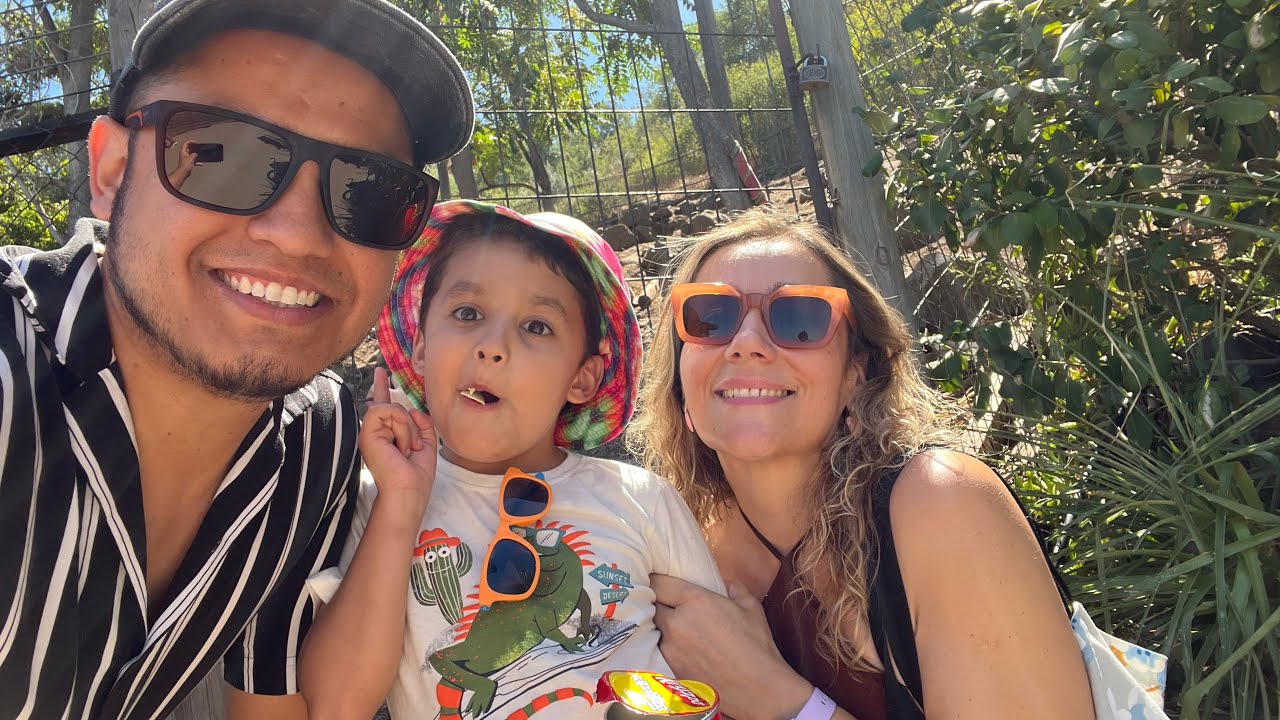 Mi primera visita al #zoologico  🙊🐸🦅🦊🧸🐒🐐🦜🐢🦁🐯🐠🦙🐘🐅🦒🐬🐑🦃🐞🦔🐆🦝🐨🦥🦓🦭🦛🦧🦩🐊🦚🦢🐧