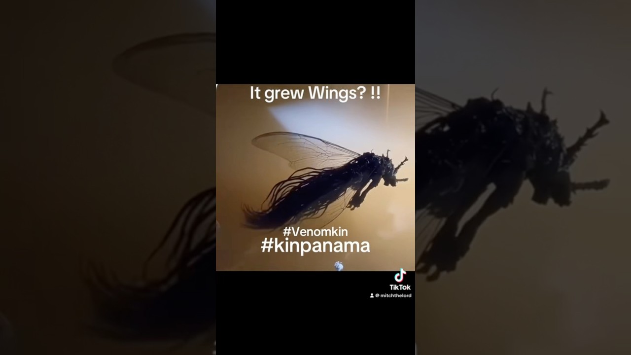 Panama meteorite alien grew wings!!!!!??? #panama #meteor #alien #ai