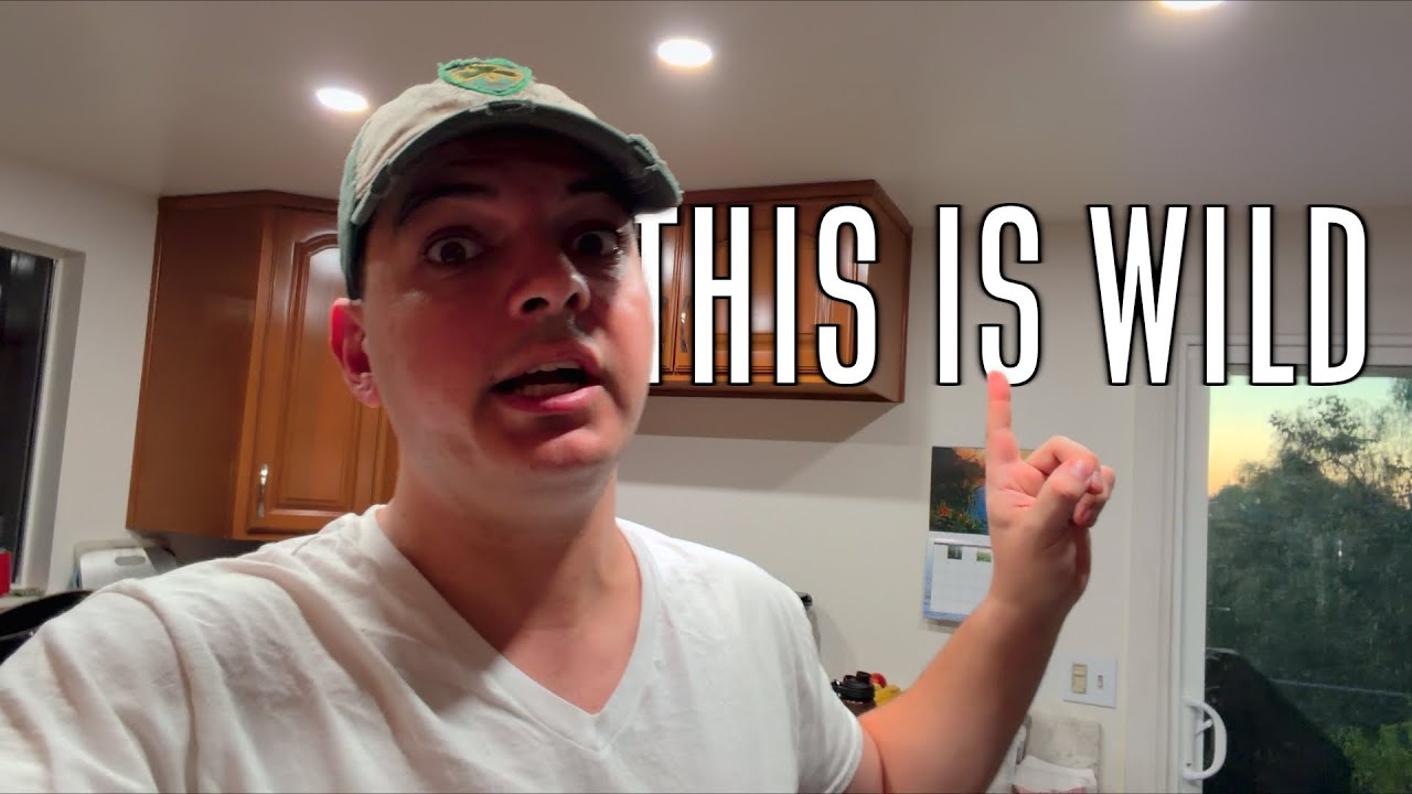 This Story Got WILD. (Behind The Scenes of The Green Miracle)