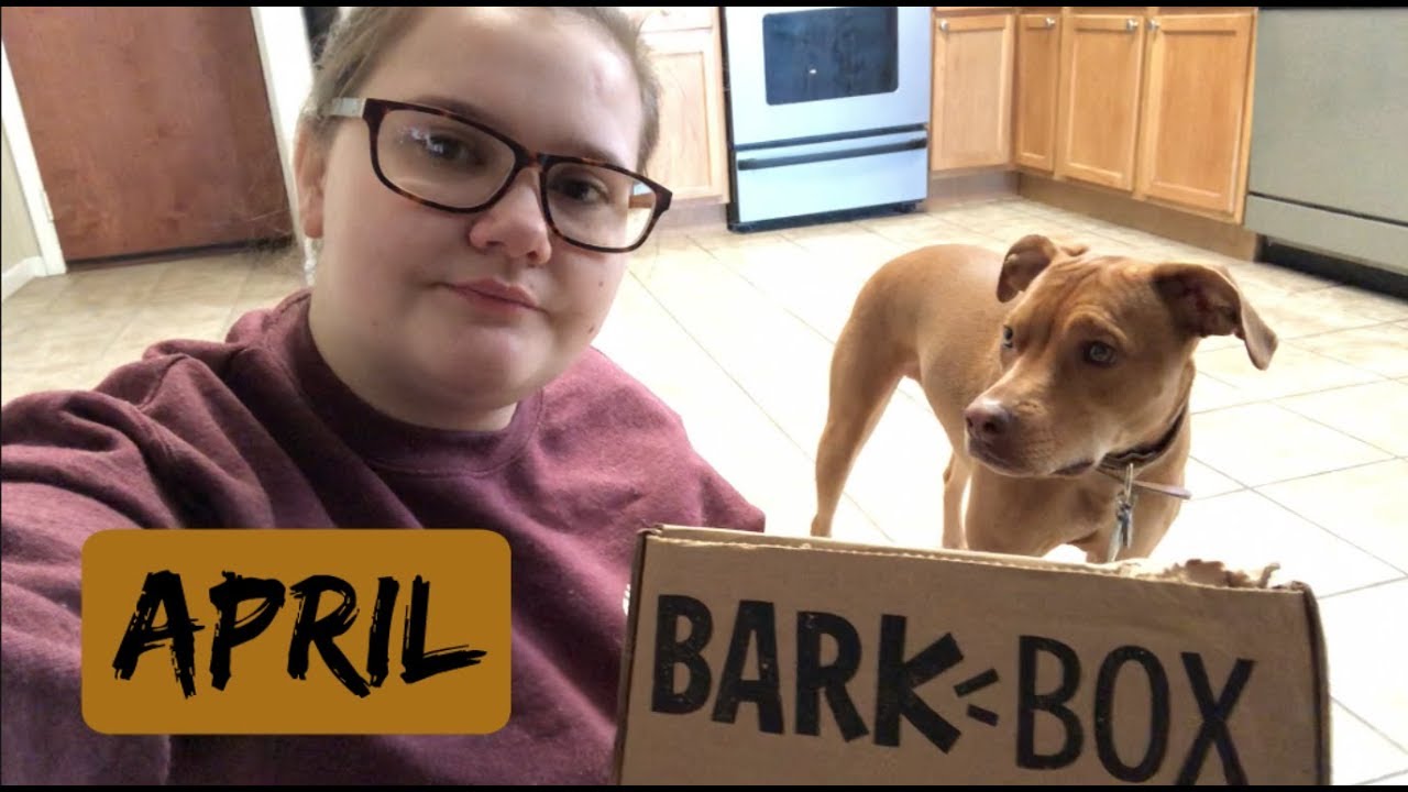 March Barkbox | PaigeAvenue