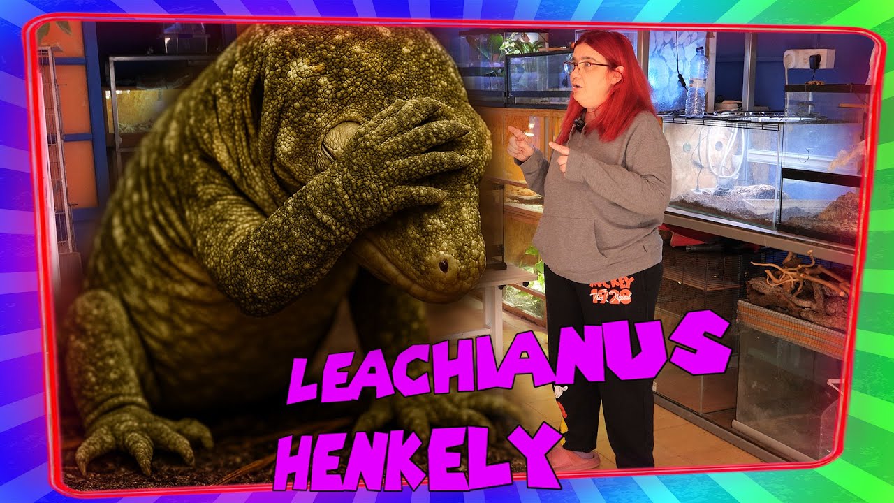 Terrario para Lechianus Expoterraria 2025