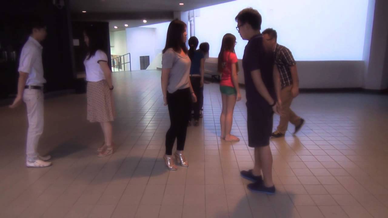 The Masquerade 2013 dance tutorial