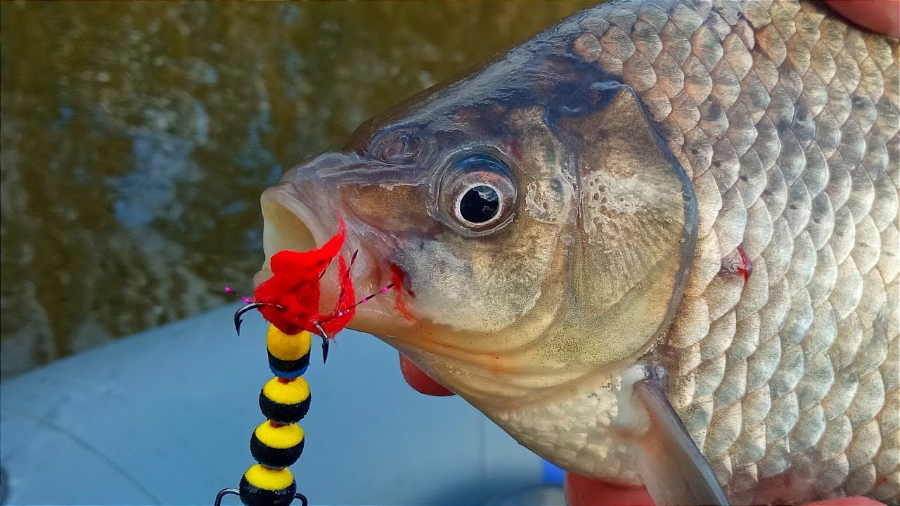 РИБА ПРОСТО ОБОЖНЮЄ ЦЮ ПРИМАНКУ. Рибалка на спінінг 2023