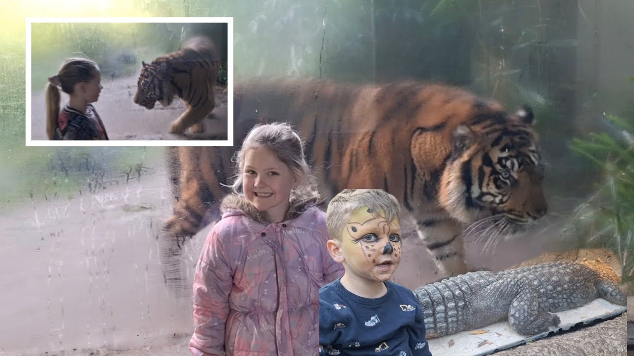 Wat is jouw lievelingsdier? zet het in de reactie ⬇️ Wij zijn in de dierentuin #zoo #wildlife 