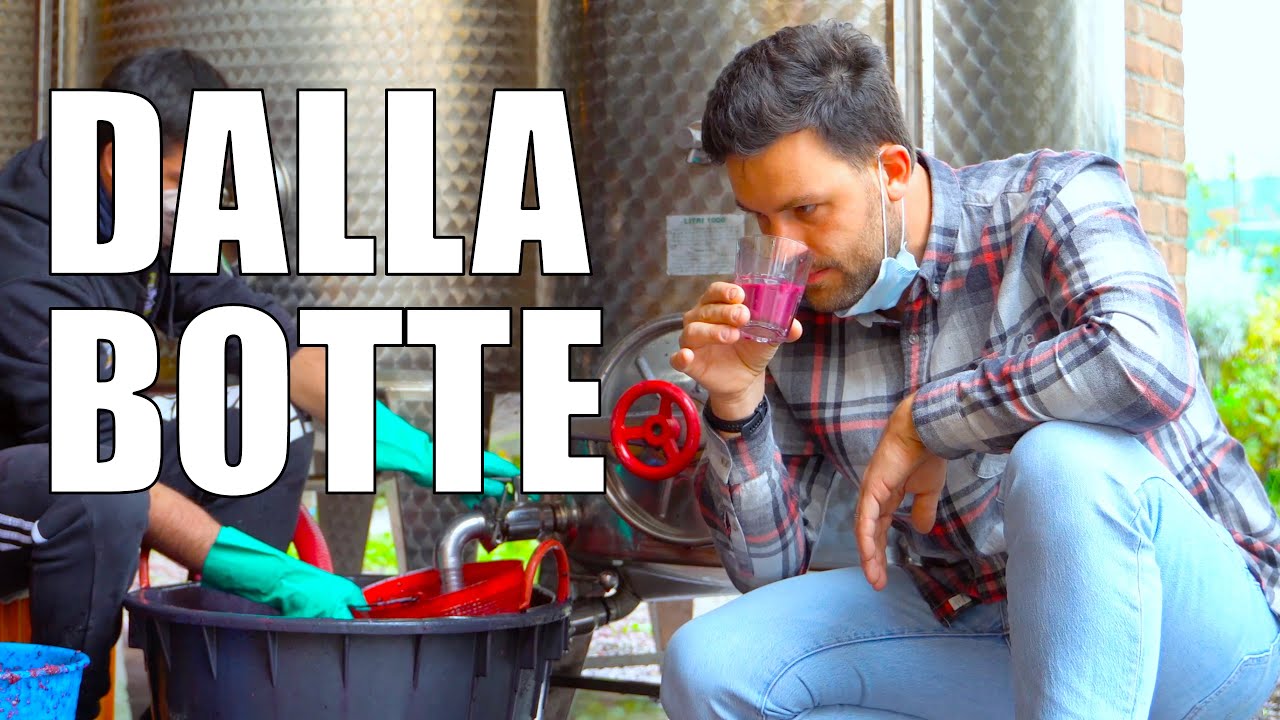 ASSAGGIO per la PRIMA volta il mio VINO