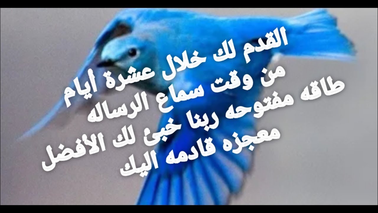 رسالة من مرشدك الروحى يبلغاك اخبار سريعه قادمه خلال عشرة أيام من وقت سماعك الرساله طاقه مفتوحه