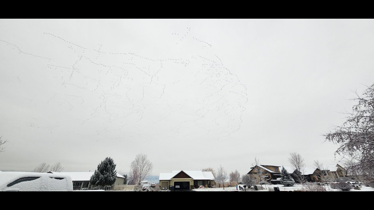 Widespread snow, travel impacts expected for Black Friday, Winter Storm Warnings