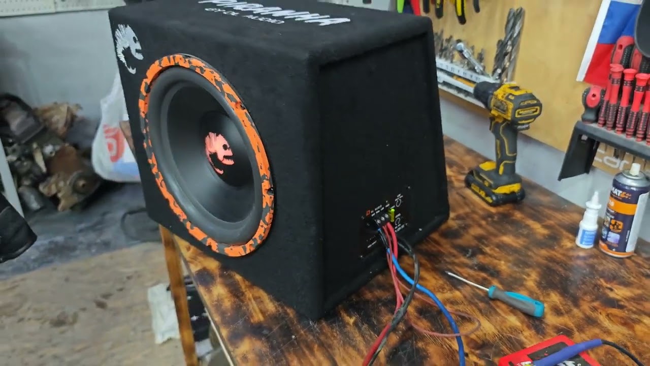 Обзор на активный сабвуфер компании DL audio piranha 12a SE