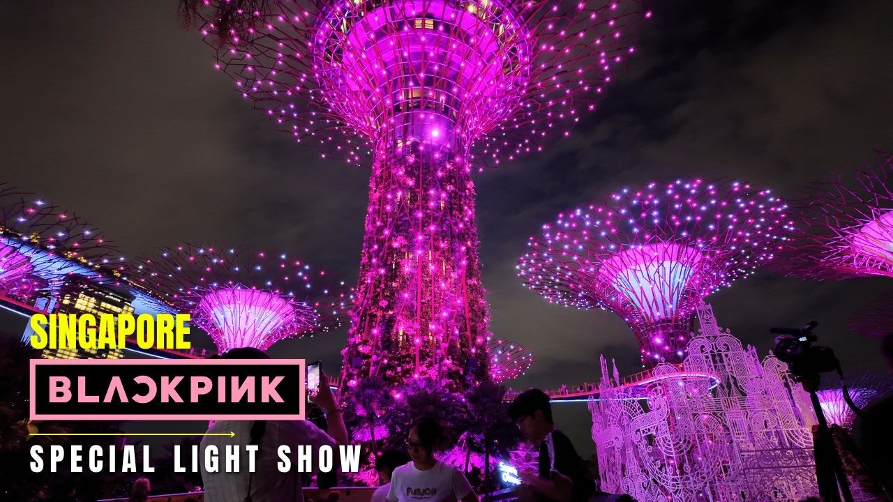 🖤💖 BlackPink Singapore Special Light Show | BLACKPINK World Tour Deadline In Singapore! #blackpink